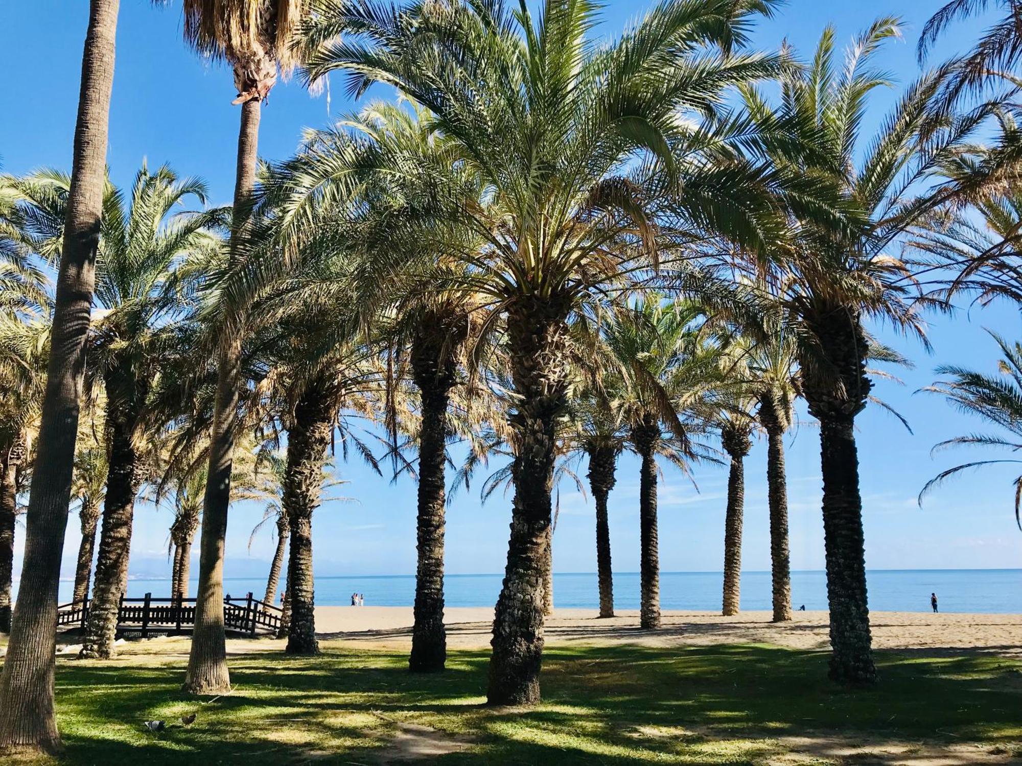 Frente Al Mar Torres De Playamar En Apartamento